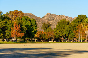 Autumn Colors Gracing Lake Perris State Recreation Area