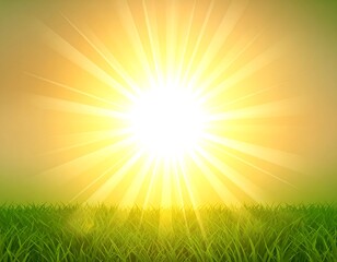 Sunny field of grass