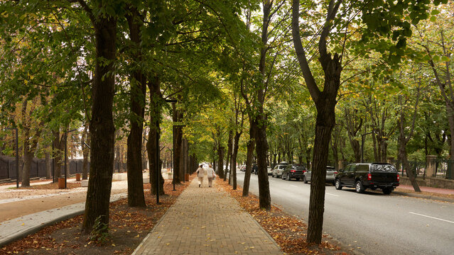 The resort town of Yessentuki. Cityscape. An alley with pedestrian paths and a road with cars. Autumn. Fallen leaves on the ground.