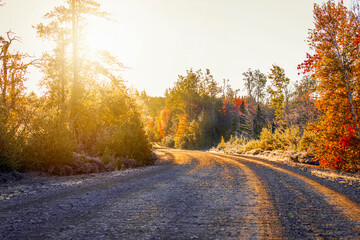 Fototapeta premium Autumn morning drive in New Brunswick, Canada.