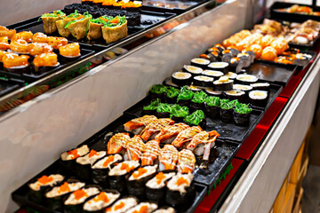 Colorful sushi platter showcases an array of sushi rolls, including nigiri and maki, beautifully arranged with fresh ingredients, highlighting vibrant colors and textures of Japanese cuisine