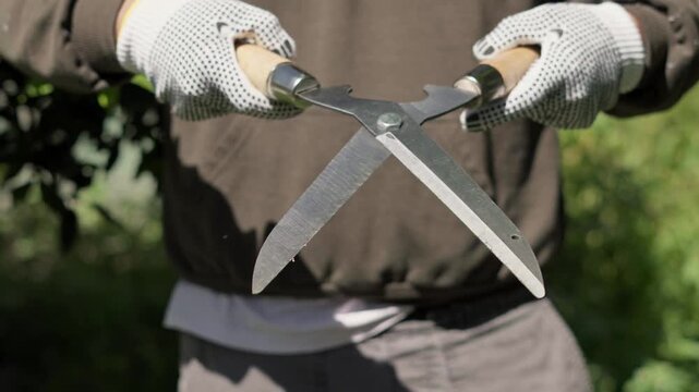 Front view of a gardener holding metal hedge shears while wearing protective gloves in an outdoor garden.