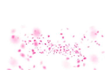 Pink cloud of delicate petals sweeping across a bright white space, countless blossoms drifting forward like a soft romantic breeze scattering springtime love in every direction

