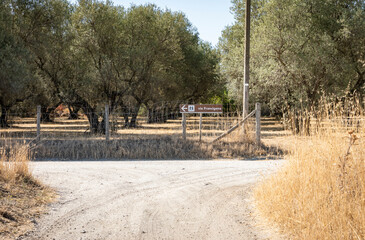 Via Francigena (pilgrim's route to Rome) way marker amidst olive groves in the countryside