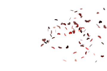 Whirlwind of red and chocolate petals spinning across bright white space, a playful storm of scattered shapes that mix warmth and depth in a lively, love‑tinted abstract motion

