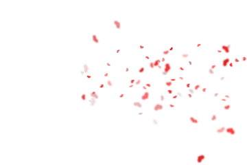 Soft scatter of tiny red petals drifting across a pure white background, a delicate cloud of color that feels like a whispered promise of love floating gently through empty space

