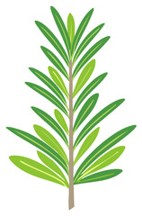 Obraz premium Stylized botanical illustration of a fresh green plant sprig with long leaves
