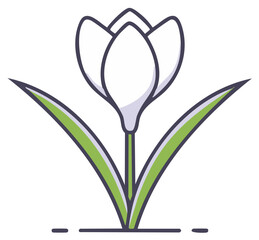 Obraz premium White crocus flower in bloom illustration, spring season concept