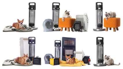 Cute dog, cat and different heaters on white background, collage. Cold season