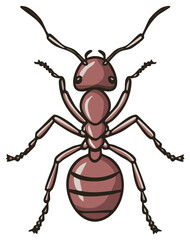 Illustration of a red ant from above, with detailed features and segmented body, vector.