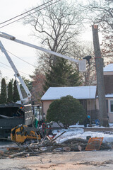 removed tree trunk by crane in residential area