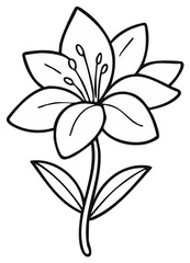 Outline of a Lily Flower in Black and White for Coloring