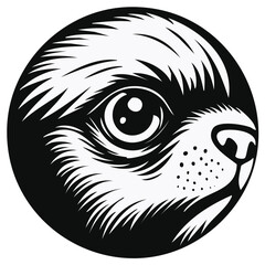 Obraz premium Close-up of a Sloth's Face in a Circle, Vector Illustration, Cute Black and White Animal Portrait