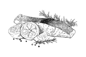 Hand-drawn sketch of grilled salmon fillet with lemon slices, rosemary, and pepper on white background, representing gourmet seafood cuisine