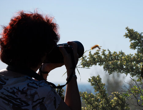 Persona sacando fotos de una oruga