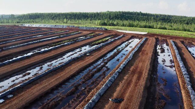 Remote Ecological Waterlogged Soil View, Aerial Perspective Capturing Reflective Standing Water On Flooded Peat Rows And Ecological Implications