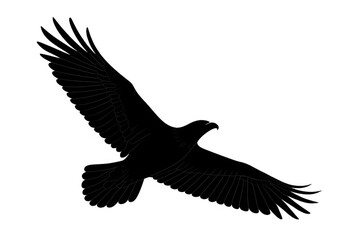 Obraz premium Eagle silhouette in flight with spread wings. Representing freedom, power, and independence, isolated on transparent background
