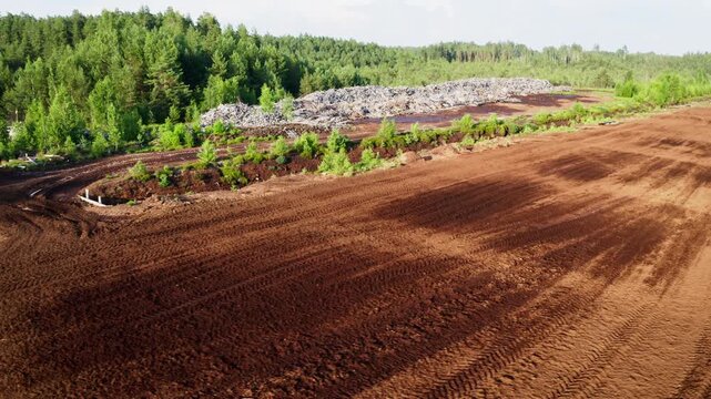 Sunlit Peatland With Tire Marks And Debris, Wide View Of Cleared Peat Area With Heavy Vehicle Tracks And Construction Materials Along Forest Boundary