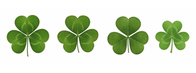 Set of green three leaf clover plant isolated on transparent background, Green Leaf PNG