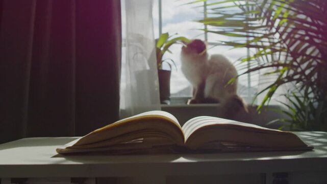 An Open Book Sits On A Small Table By The Window, Pages Gently Turning From A Light Breeze. Sunlight Falls On Houseplants Outside And A Relaxed Cat Enjoys The Warm Glow On The Windowsill.