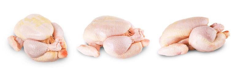 Set of three fresh raw whole chickens isolated on white background, uncooked poultry meat ready for cooking. High quality photo