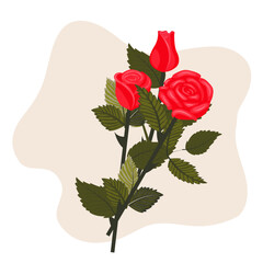 A bouquet of bright red roses on a light beige background. A set of two cute flowers and a bud. Vector illustration on a white background.