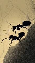 Silhouette of two ants in a collaborative and coordinated movement on a textured surface. The contrasting forms create a dynamic composition, highlighting the teamwork.