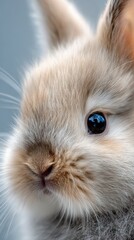 Obraz premium cute baby bunny face close-up, fluffy fur, soft pastel background, adorable expression