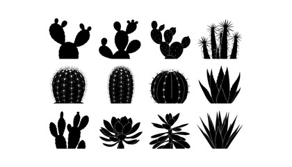 Obraz premium Cactus silhouette set of vector illustrations design, Various isolated cactus logo shapes in black on white background, line art cactus desert flower character symbol, icon and sketch imitation