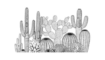 Cactus silhouette set of vector illustrations design, Various isolated  cactus logo shapes in black on white background, line art cactus desert flower character symbol, icon and sketch imitation