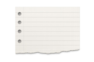Lined notebook paper scrap with ragged bottom edge and hole punches. Blank sheet for memo or note message