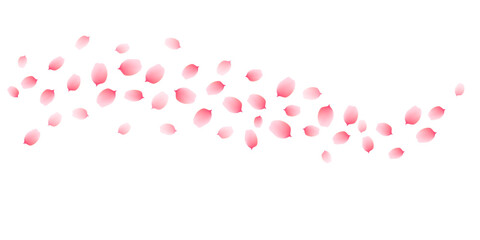 Sakura cherry petals, pink apricot flowers falling swirl. Vector background