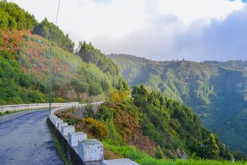 Madeira, Portugal, 12.12.2025: Mountain road through green hills