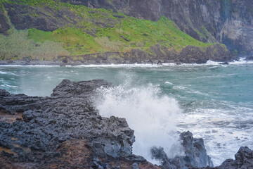 Coastal Cliffs with Flowers and Atlantic Ocean