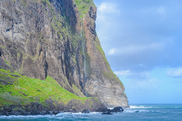 Coastal Cliffs with Flowers and Atlantic Ocean
