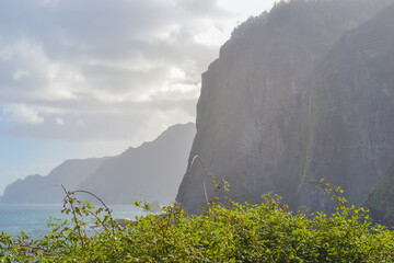 Madeira, Portugal, 12.12.2025: North Coast Cliffs and Atlantic Ocean View