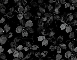 Colorful Flowers on Black Background &ndash; Vibrant Floral Artwork generated AI