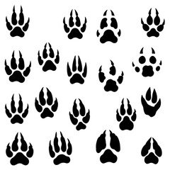 Fototapeta premium Assortment of Black Animal Paw Prints on a White Background with Claw Details