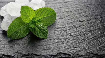 Fresh mint leaves and rock sugar crystals on black slate background