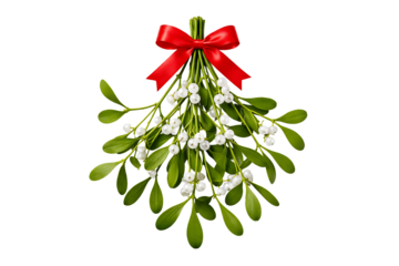 Mistletoe branch with red bow. Christmas traditions. Holiday designs. Winter projects.