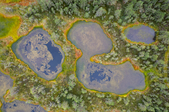 Bog landscape seen from the air in an aerial drone photo in Estonia