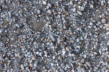 Pebble Beach With Smooth River Rocks on a Shingle Shoreline in BC, Canada