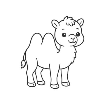 Cute cartoon camel vector illustration