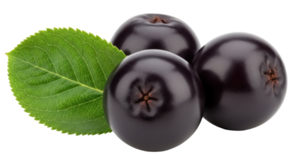 Chokeberries with green leaf isolated on transparent background, aronia melanocarpa fruit PNG for healthy eating and antioxidant concepts