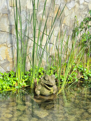 Small pond with statue of frog in the garden 