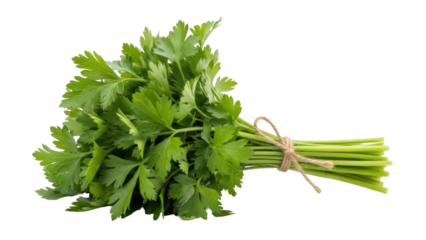 Fresh parsley bunch isolated PNG on transparent background, aromatic herb with green leaves for cooking and culinary use