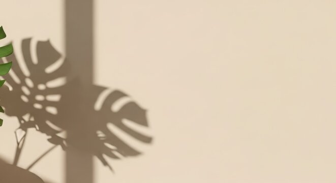 Monstera leaf shadow on beige wall with natural light