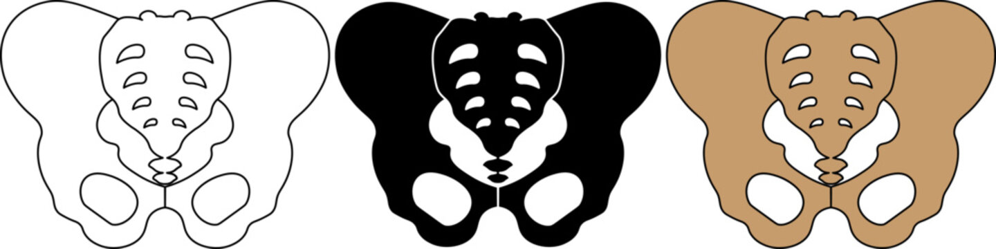 outline silhouette Pelvis icon set