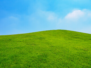 Fototapeta premium Green grassland hill under a clear blue sky with copy space