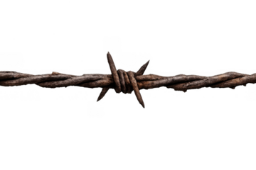 Rusty barbed wire creating a boundary, depicting restriction, security, and a challenging barrier on transparent background